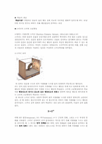 [인간심리] 스키너의 조작적 조건형성-2
