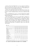 [세계도시론] 세계도시 싱가포르 사례 분석-12