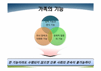 [인간행동과 사회환경] 집단과 가족-8