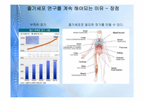 [종교와 과학] 줄기세포의 허와 실-3