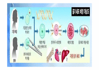 [종교와 과학] 줄기세포의 허와 실-8