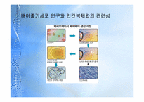 [종교와 과학] 줄기세포의 허와 실-11