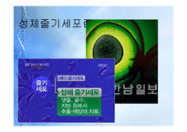 [종교와 과학] 줄기세포의 허와 실-17