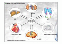 [종교와 과학] 줄기세포의 허와 실-20