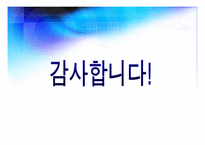 [사회교육] 노무현 정부에 대한 평가-15