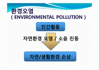 환경오염과 친환경적 개발의 필요성-3