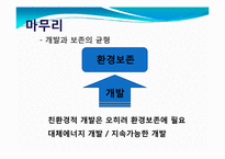 환경오염과 친환경적 개발의 필요성-15