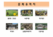 [여가학개론] 대구의 관광상품 활성화 전략-10