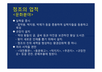 [역사학] 드라마 `이산`과 `정조`-14