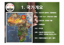 [세계시장의 흐름] 아프리카의 경제분석-4