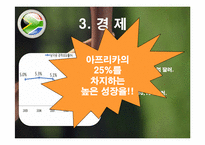[세계시장의 흐름] 아프리카의 경제분석-16