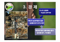 [세계시장의 흐름] 아프리카의 경제분석-18