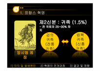 [전쟁과 정치사회] 프랑스 혁명과 나폴레옹 전쟁-6