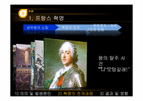 [전쟁과 정치사회] 프랑스 혁명과 나폴레옹 전쟁-11