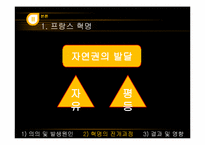 [전쟁과 정치사회] 프랑스 혁명과 나폴레옹 전쟁-20