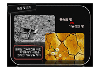[사회학] 사례를 통한 대안교육의 문제점과 해결방안-5