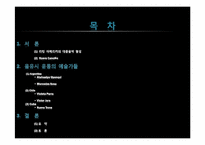 [국제문화] 음유시 운동과 예술가-2