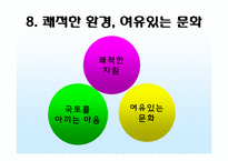 [사회교육] 김대중 정부와 북한-13