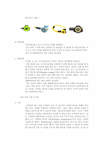 [스포츠의 이해] 스킨스쿠버 다이빙의 특징-19