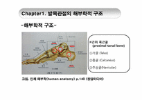 [스포츠의학] 발목 염좌의 예방법 및 치료-3