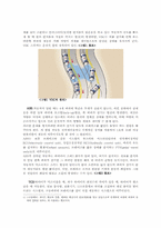 [산업공학] 자동차 옵션-2