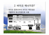 대체 에너지의 원료-워터에너지, 바이오 에너지-12