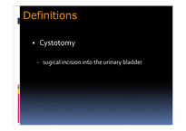 [의학] Cystotomy(방광절개술)-2