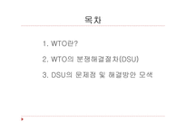 [국제기구론] WTO의 분쟁 해결 절차-3