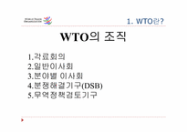 [국제기구론] WTO의 분쟁 해결 절차-9