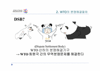 [국제기구론] WTO의 분쟁 해결 절차-11