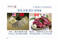[국제기구론] WTO의 분쟁 해결 절차-15