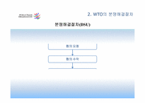 [국제기구론] WTO의 분쟁 해결 절차-16