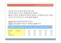 [중국경제론] 1자녀 정책이 중국경제에 미친 영향과 전망-7