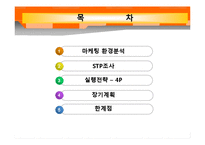 [마케팅원론] 야식용라면 마케팅 전략 계획서-2