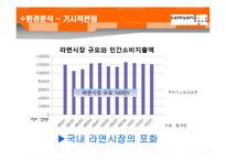 [마케팅원론] 야식용라면 마케팅 전략 계획서-7