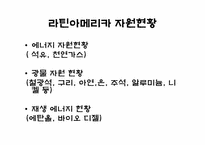 [중남미경제입문] 라틴아메리카의 자원-4