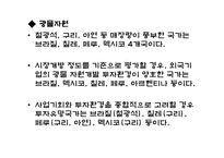 [중남미경제입문] 라틴아메리카의 자원-14
