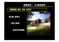 [경영학원론] 삼성전자 기업분석-10