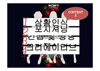SONY Cybershot DSC-TX9 광고제안서-9