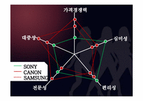 SONY Cybershot DSC-TX9 광고제안서-18