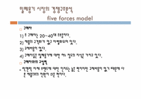 [국제마케팅] LOCK&LOCK(락앤락) 국제마케팅 사례-15