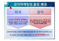 [소비자행동론] 감각 마케팅-4
