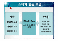 [소비자행동론] 감각 마케팅-5