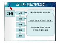 [소비자행동론] 감각 마케팅-6