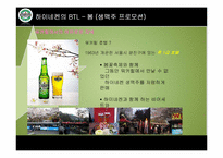 하이네켄 판촉 사례 분석-19