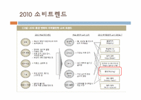 [소비문화환경] 몰링(malling)의 이해와 몰링족에 관한 고찰-3