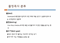 [소비문화환경] 몰링(malling)의 이해와 몰링족에 관한 고찰-5