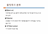 [소비문화환경] 몰링(malling)의 이해와 몰링족에 관한 고찰-6