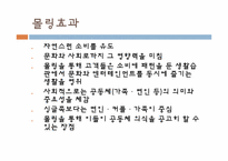 [소비문화환경] 몰링(malling)의 이해와 몰링족에 관한 고찰-10