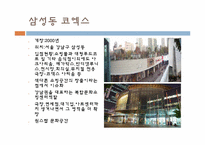 [소비문화환경] 몰링(malling)의 이해와 몰링족에 관한 고찰-16